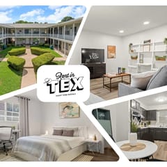 Modern Apartment near The Domain